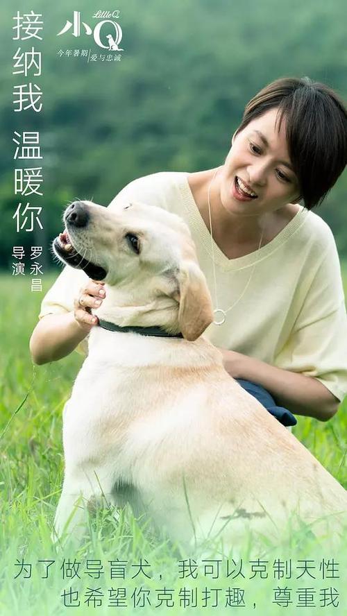 北京联合大学毕业证网上能查询吗